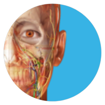 Atlas icon