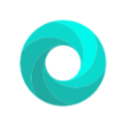 Mint Browser icon