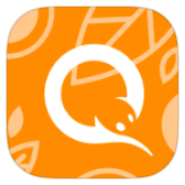 QIWI icon