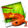 Gallery icon