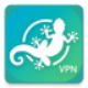 GeckoVPN icon