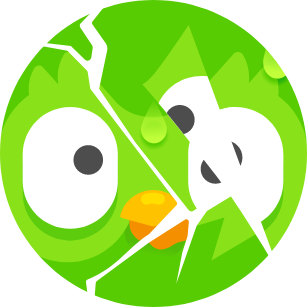 Duolingo icon