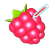 RasPi Check icon