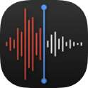 Voice Recorder icon