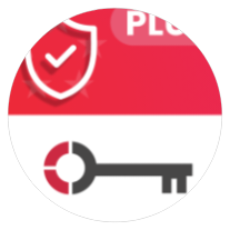 Singapore VPN icon