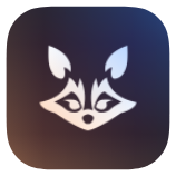 Raccoon icon