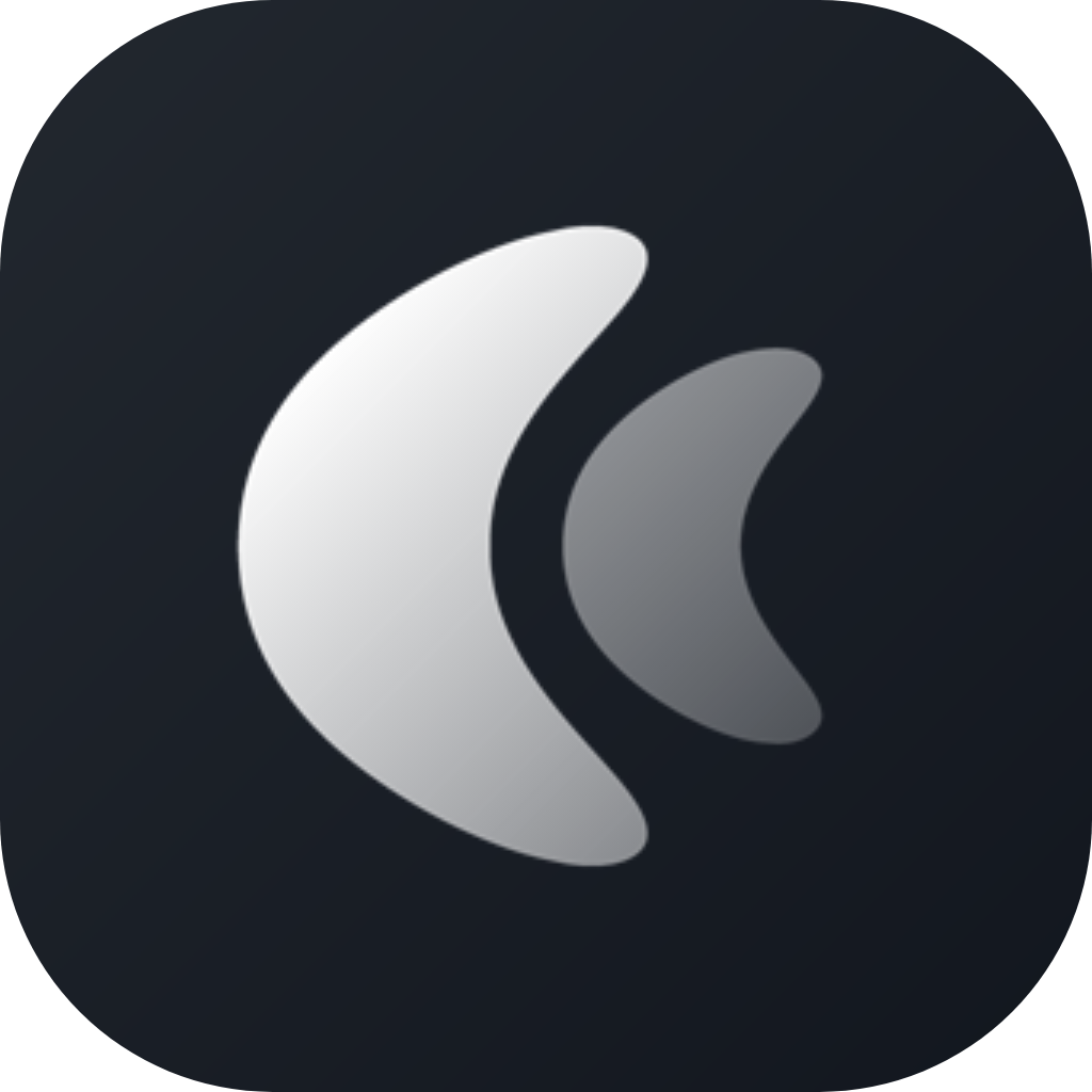 CHIC LIGHT icon