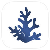 Coral icon