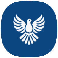 ByeByeDPI icon