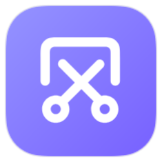 Screenshot icon