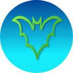 BBVPN icon