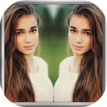 Mirror Image icon