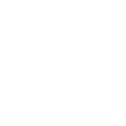 Vera Outline White icon