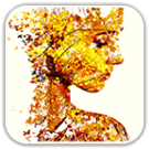 Photo Overlays icon