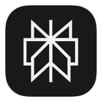 Perplexity icon