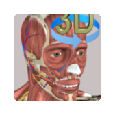 3D Anatomy icon