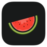 Melon VPN icon