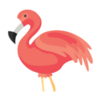 Flamingo Animator icon