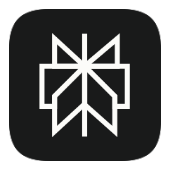 Perplexity icon
