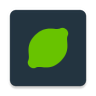 Lime icon