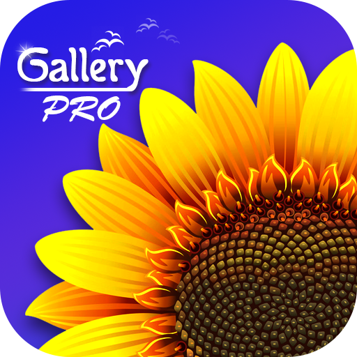Gallery icon