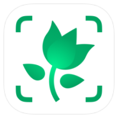 PictureThis icon