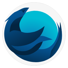 Iceraven icon