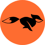 FastFox VPN icon