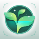 Plant Identifier icon