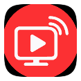 PlayOnDlna icon