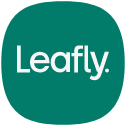 Leafly icon
