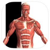 Visual Anatomy 2 icon