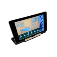 WhatWeather Pro icon