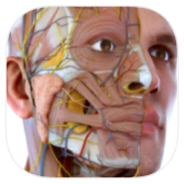 V. Anatomy icon