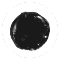 Ink AI icon
