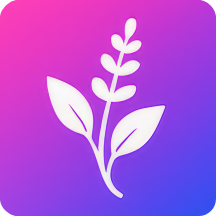 Gallery icon
