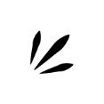 Rays icon