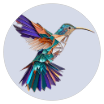 VPN HBird icon