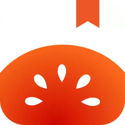 番茄免费小说 icon
