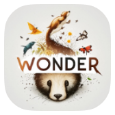 Wonder Walls icon