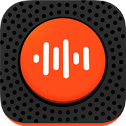 #VoiceX icon