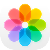 Gallery icon