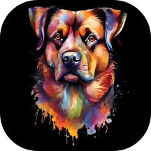 Image Art icon