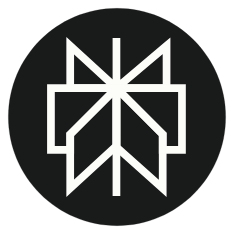 Perplexity icon