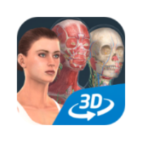 Human body (female) icon