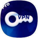 Wild VPN Pro icon