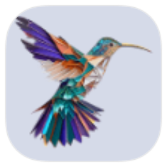 VPN HBird icon