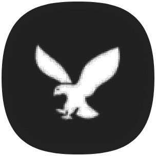 Reqable icon