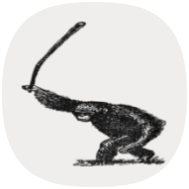 DumDum icon