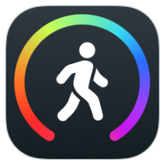 Pedometer StepGo icon